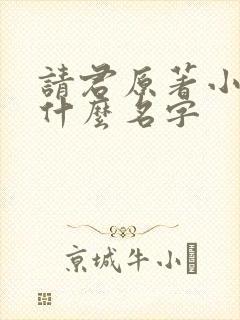 请君原著小说叫什么名字