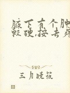 腋下有个肿块,较硬,按去疼痛挂什么科