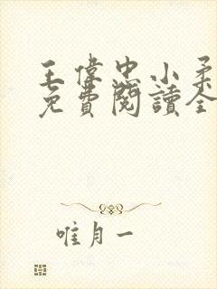 王伟忠小柔小说免费阅读全文下载