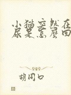 小猫突然在地上尿是怎么回事封面