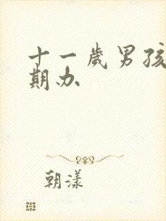 十一岁男孩叛逆期办封面