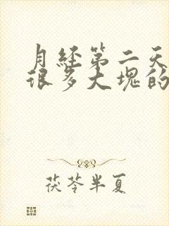 月经第二天排了很多大块的血块