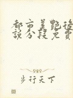 都市美艳后宫小说分段免费阅读