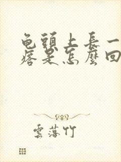 龟头上长一个疙瘩是怎么回事封面