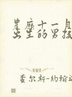 农历十一月十八出生的男孩子命运好吗?