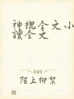 神棍全文小说阅读全文