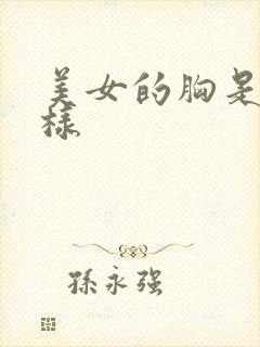 美女的胸是什么样