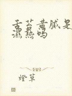 舌苔黄腻是脾胃湿热吗