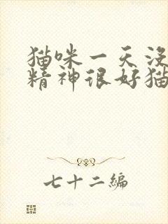 猫咪一天没尿 精神很好猫咪一天不尿正常吗封面