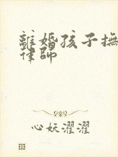 离婚孩子抚养权律师