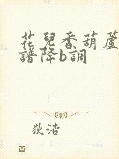 花儿香葫芦丝简谱降b调封面