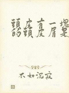 头皮有一块一块的头皮屑是怎么回事封面