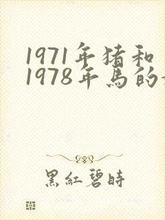 1971年猪和1978年马的婚姻