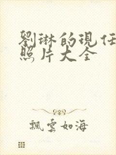 刘琳的现任丈夫照片大全