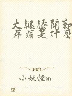 大腿膝关节内侧疼痛是什么原因引起的