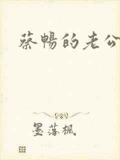 蔡畅的老公是谁