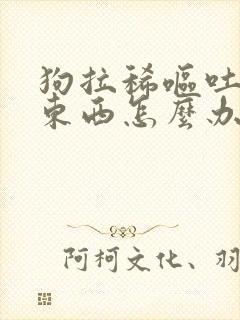 狗拉稀呕吐不吃东西怎么办