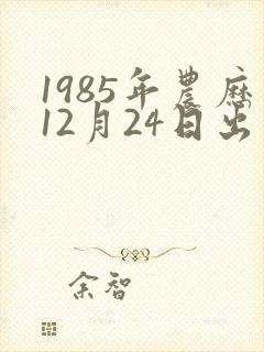 1985年农历12月24日出生的命运怎样