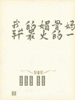 我的媚骨妈妈林轩最火的一句