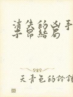 消失的凶手里许子昂结局封面