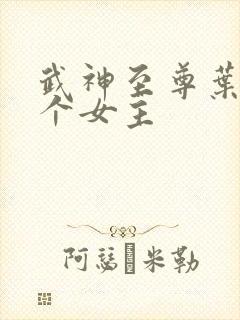 武神至尊叶风几个女主封面
