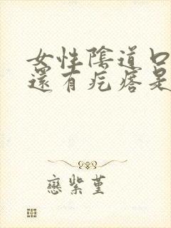 女性阴道口痒痒还有疙瘩是怎么回事