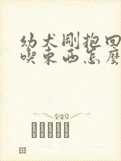 幼犬刚抱回来不吃东西怎么办封面