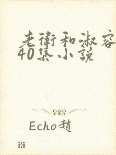 老卫和淑容1-40集小说