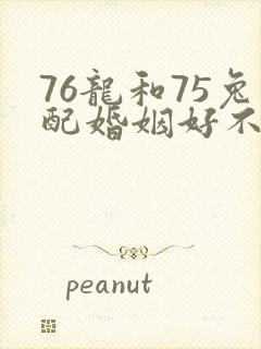 76龙和75兔配婚姻好不好