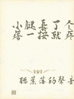 小腿长了个硬疙瘩一按就疼封面