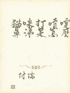 猫咪打喷嚏流黄鼻涕是怎么回事