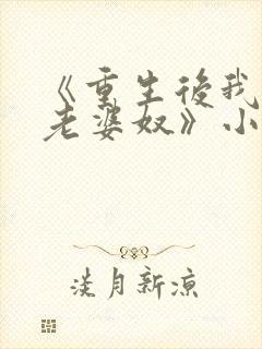 《重生后我成了老婆奴》小说封面