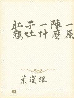 肚子一阵一阵痛想吐什么原因