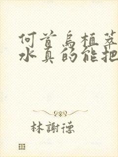 何首乌植萃洗发水真的能把白头发洗黑吗