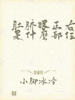 肚脐眼正右边疼是什么部位