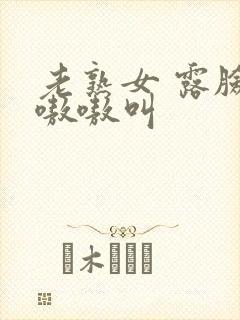 老熟女 露脸 嗷嗷叫封面