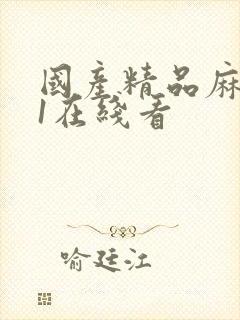 国产精品麻豆91在线看