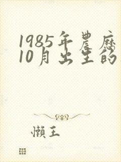 1985年农历10月出生的人命运