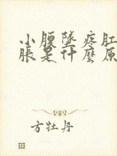 小腹坠疼肛门坠胀是什么原因引起的