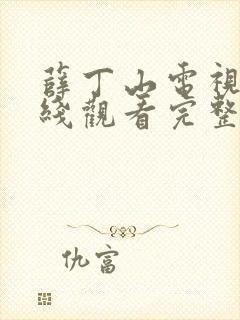 薛丁山电视剧在线观看完整版封面