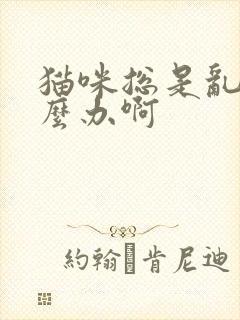 猫咪总是乱尿怎么办啊封面