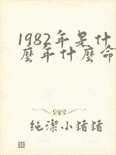 1982年是什么年什么命什么属性