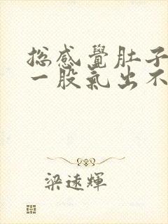 总感觉肚子里有一股气出不来怎么办封面