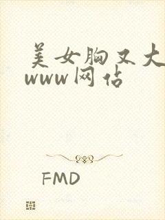 美女胸又大又黄www网站