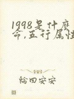 1998是什么命,五行属性