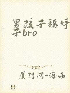 男孩子称呼女孩子bro