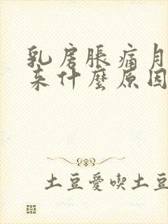 乳房胀痛月经没来什么原因