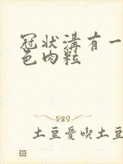 冠状沟有一排白色肉粒