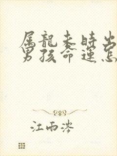 属龙未时出生的男孩命运怎么样