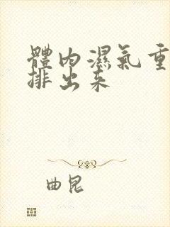 体内湿气重如何排出来